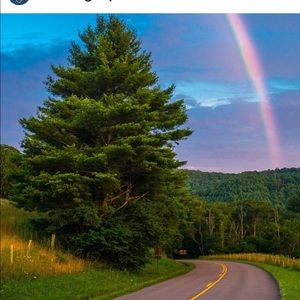 Meet your Posher, Anne